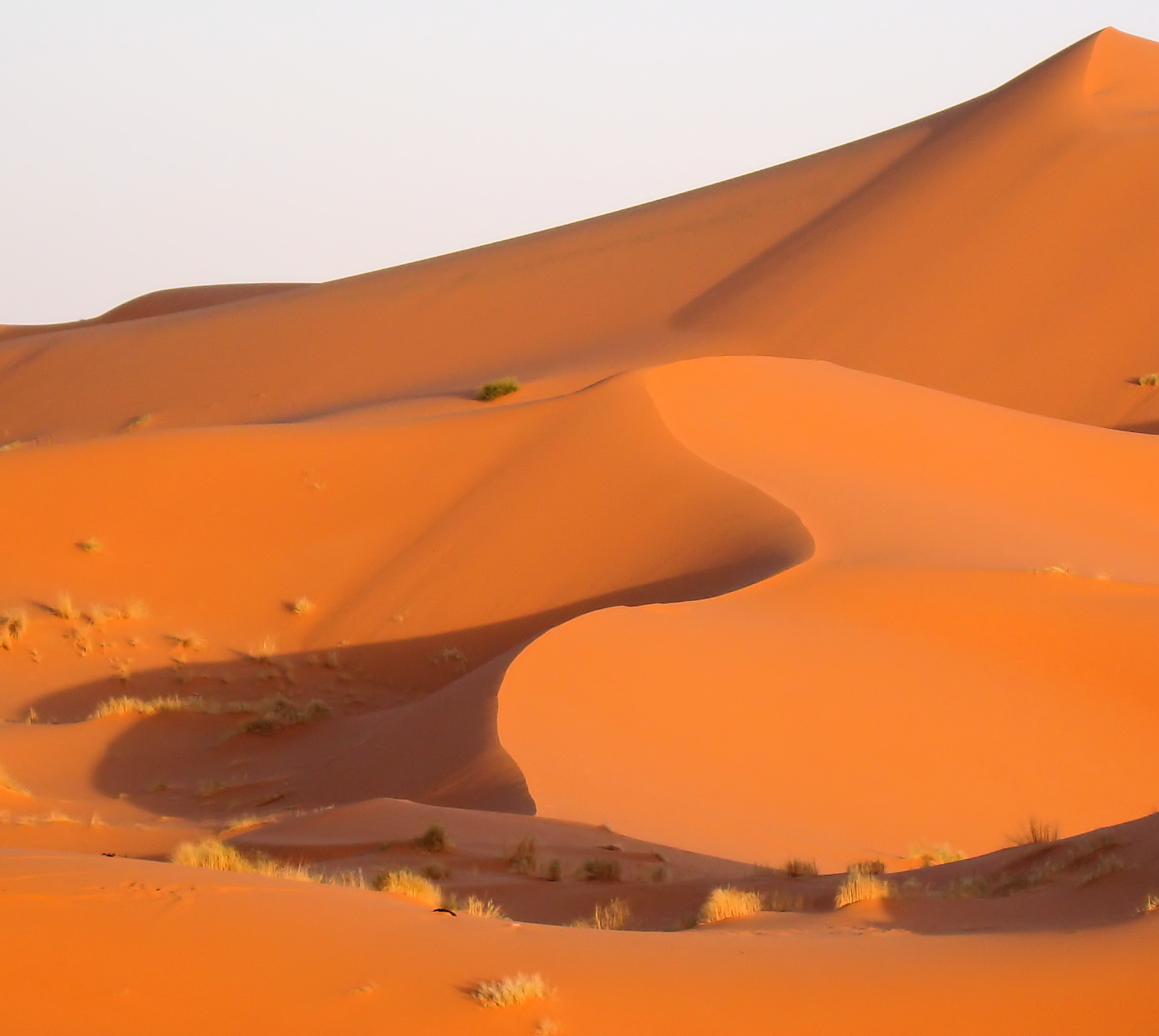 Erg Chebbi Dunes