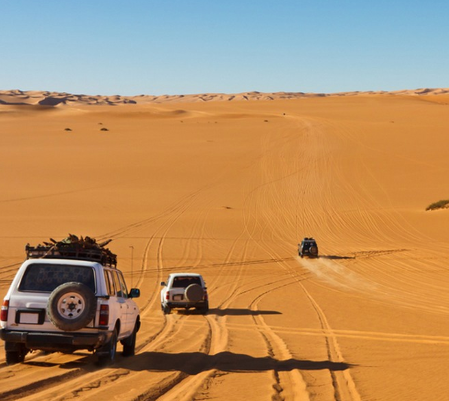 Desert Adventure Activities