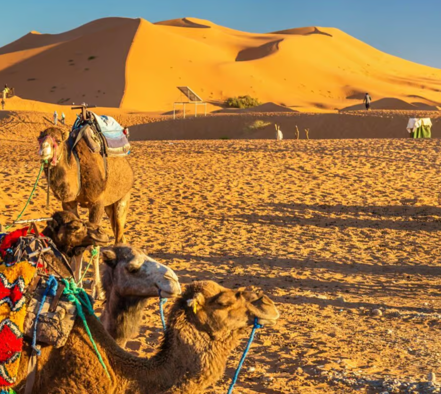 Traditional Nomadic Encounters