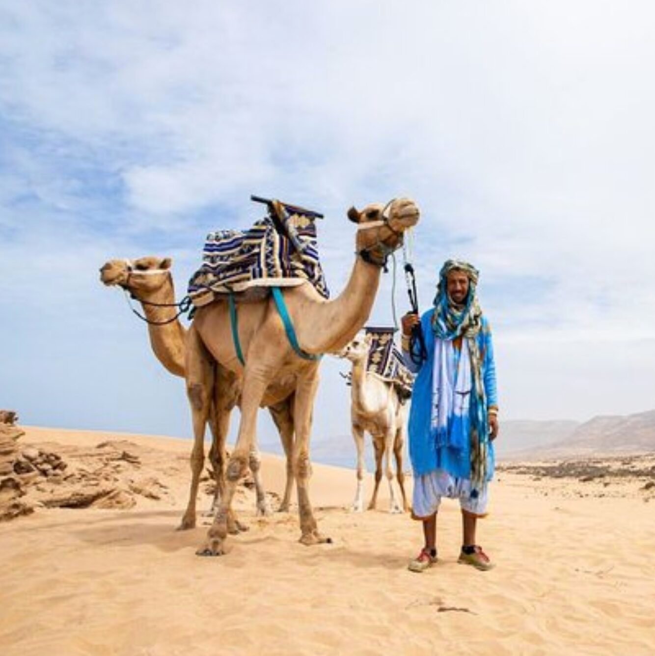 Camel Rides