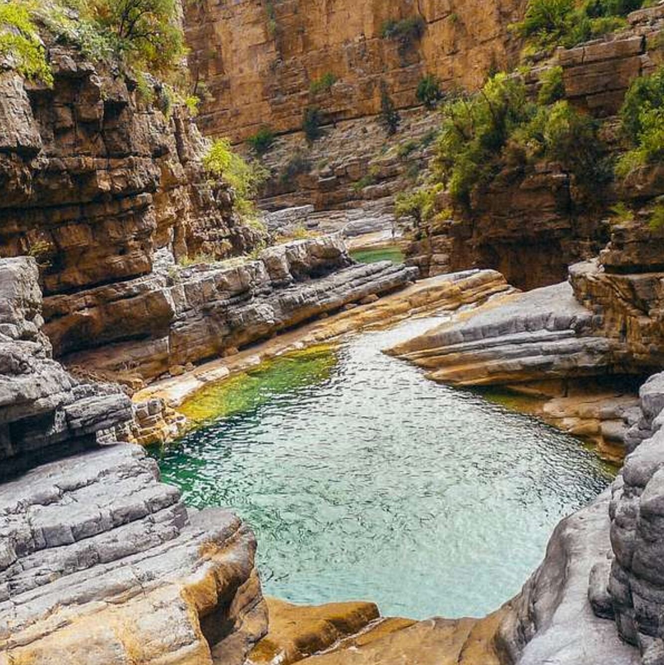 Day Trips to Paradise Valley