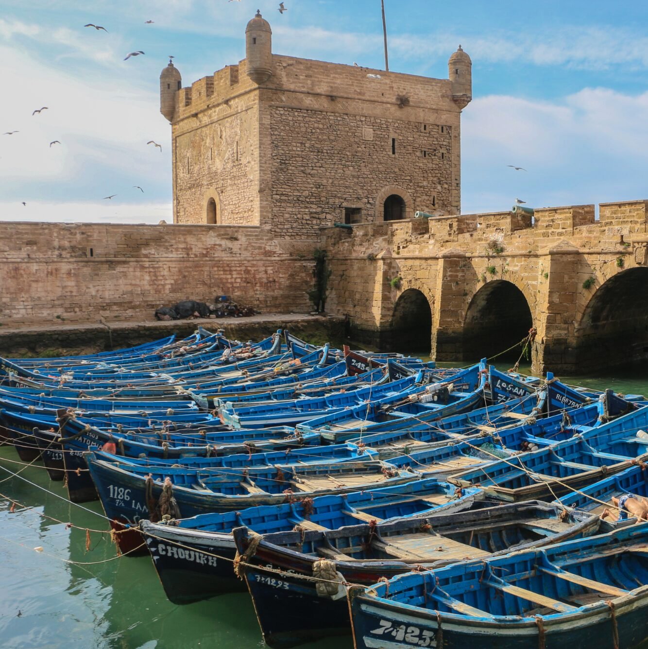 Essaouira Citadel