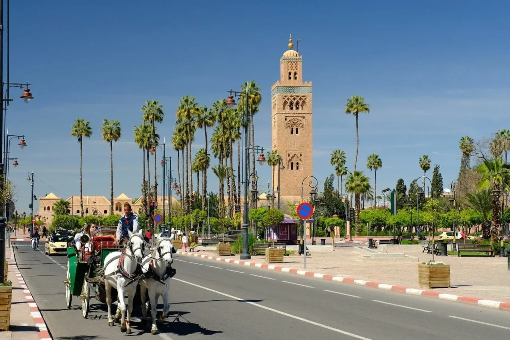 Top 10 Must-See Attractions in Marrakech