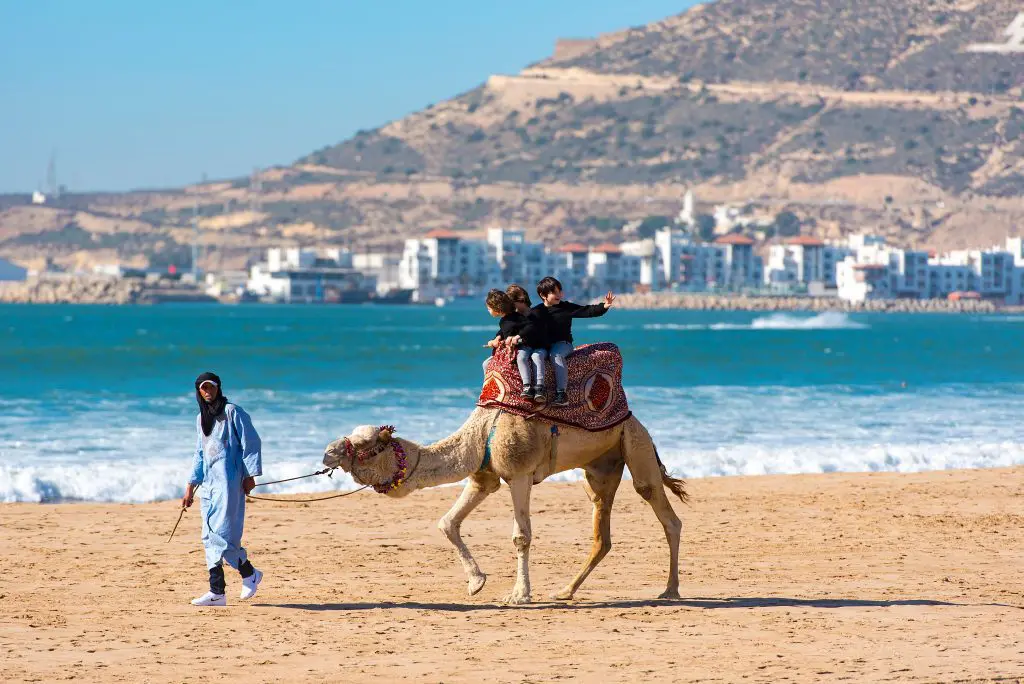 Why You Should Visit Essaouira on Your Moroccan Adventure