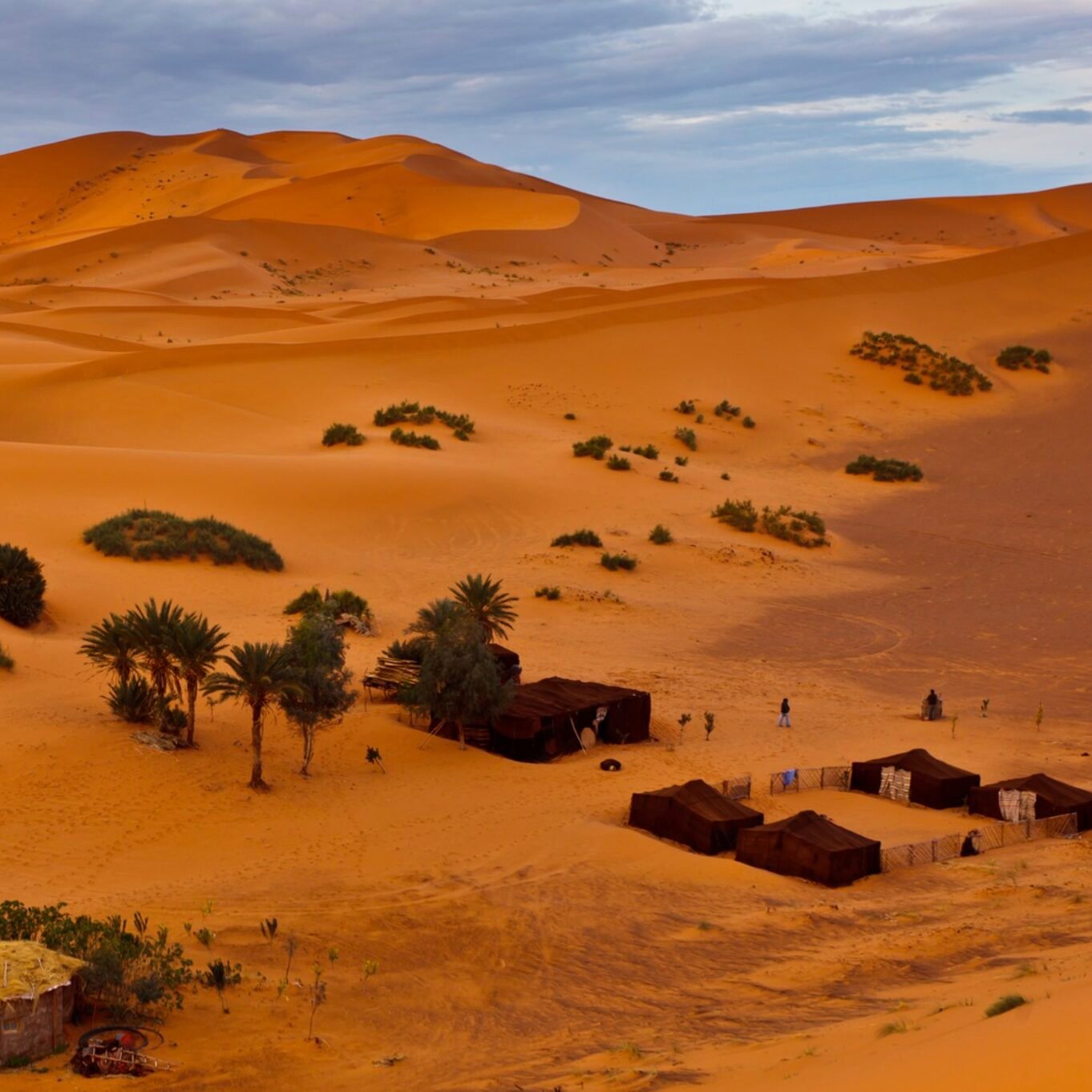 Sahara Desert Excursions