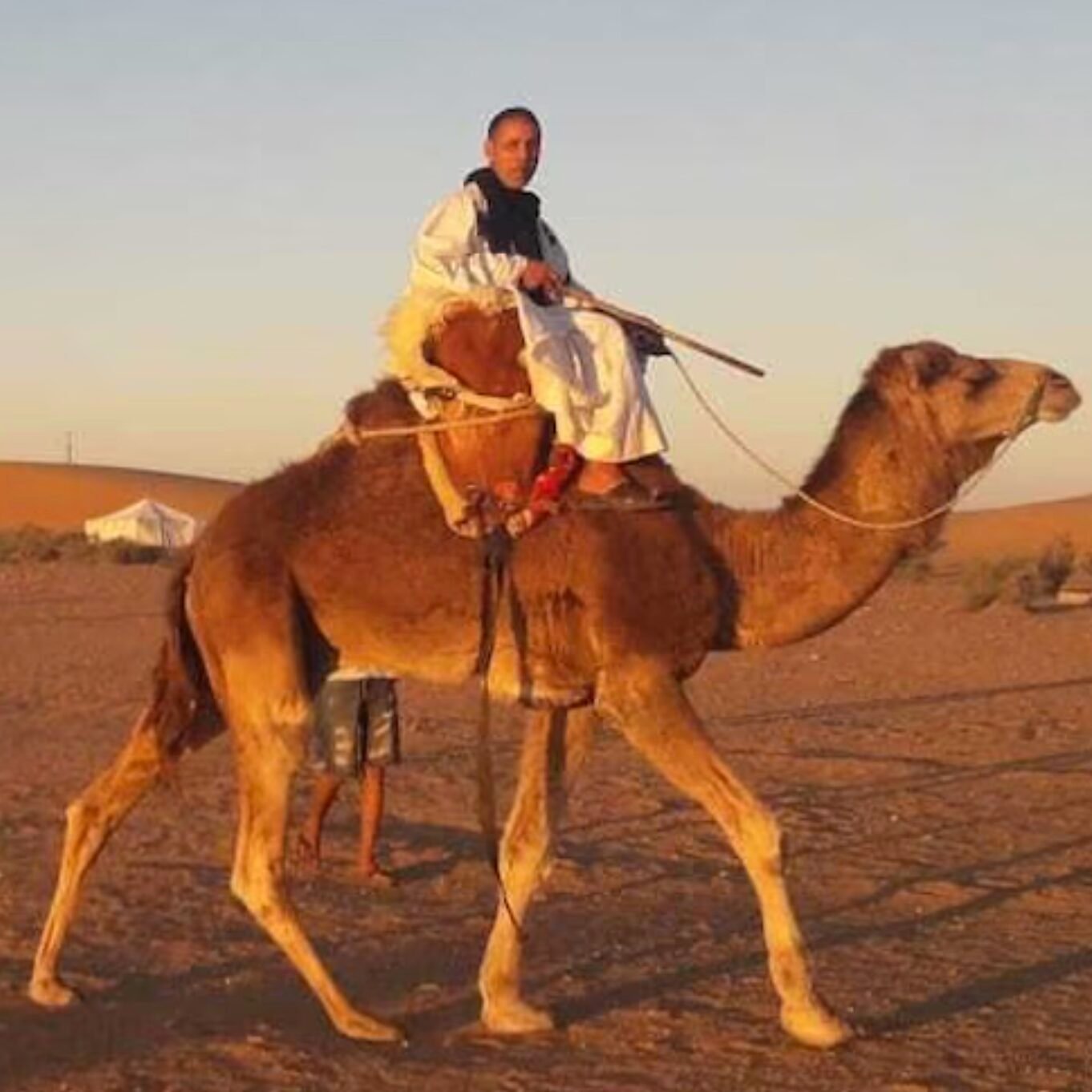 Desert Camping