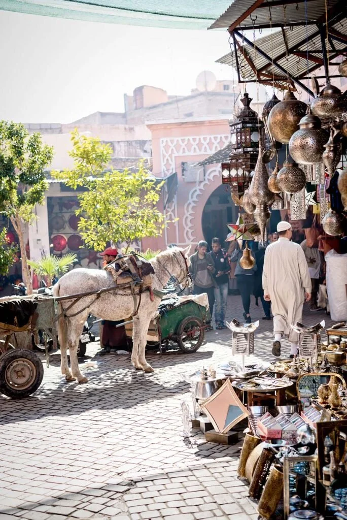 10 Tips for Navigating the Medina