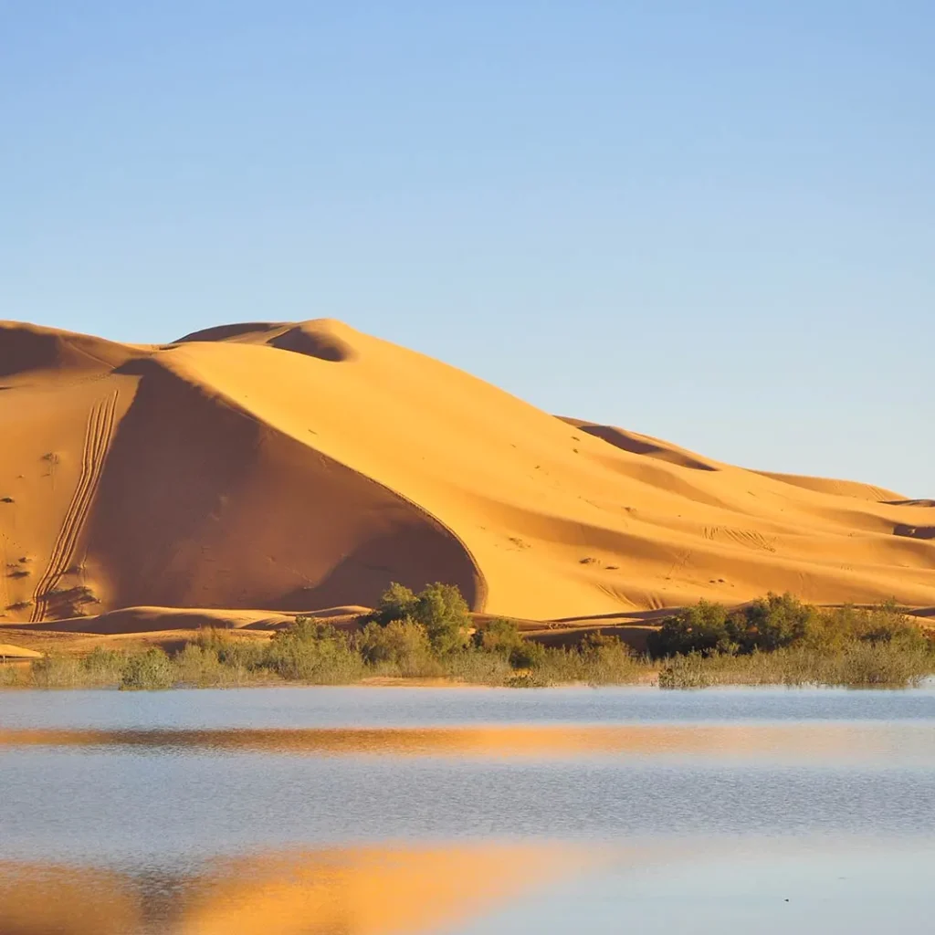 Into the Sands: A Journey Through Morocco’s Sahara Desert